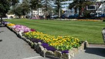 Marine Parade Gardens 