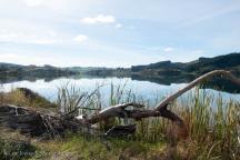 Lake Tutira North 