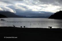 Lake Waikaremoana 