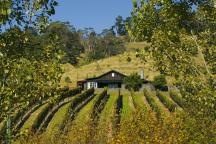 Black Barn Vineyard Cottage -Havelock North 