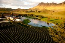 French style vineyard, Craggy Range